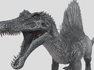Realistic Spinosaurus Dinosaur With Open Mouth And Sailback Scaly Skin 3d model