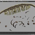 Detailed Dinosaur Skeleton 3D Model With Scattered Bones And Bone Fragments