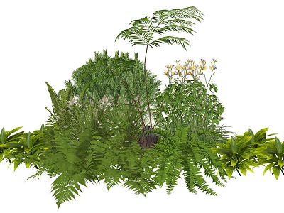 Lush Green Plant Combination With Ferns Bushes And White Flowering Plants 3d model