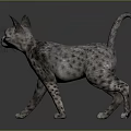 3D Rendered Spotted Cat Walking On Gray Background With Ears And Tail