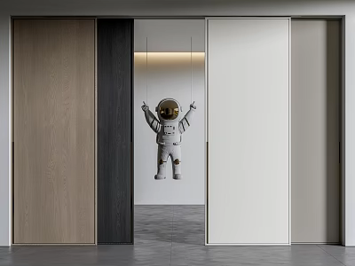 Modern Sliding Doors For Home Interior With Wooden Panels And White Frames 3d model