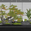 Indoor Natural Landscape Design With Decorative Tree Stones Lantern And Green Plants
