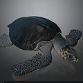 Dark Blue Sea Turtle With Textured Shell And Webbed Flippers On Gray Surface