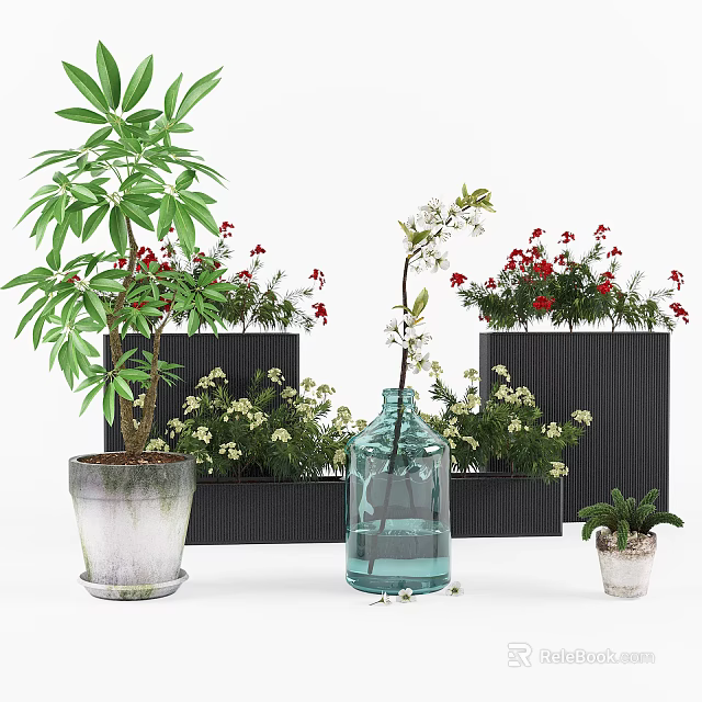 Indoor Decorative Potted Plants With Green Leaves Red White Flowers Glass Vase And Black Planters 3d model 