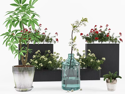 Indoor Decorative Potted Plants With Green Leaves Red White Flowers Glass Vase And Black Planters 3d model