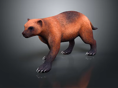 Modern Wolverine Animal Beast 3d model