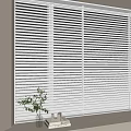White Venetian Blinds on Living Room Window with Plant Books and Vase on Sill