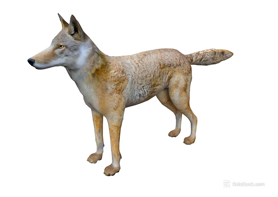 Realistic Brown And White Wolf Model Standing In Natural Lifelike Pose 3d model 