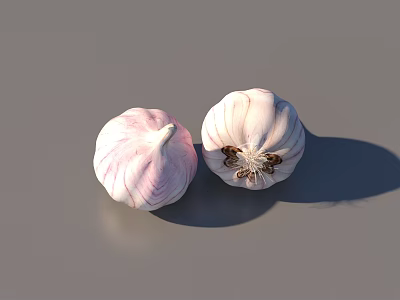 Two Fresh Healthy Garlic Bulbs with White and Purple Stripes on Gray Background 3d model Two Fresh Healthy Garlic Bulbs with White and Purple Stripes on Gray Background 3d model