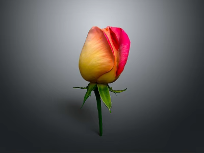 Vibrant Rose with Pink and Yellow Gradient Petals Green Stem and Leaves on Gray Background 3d model