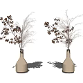Decorative Beige Vases Holding Brown and White Feathery Dried Flowers on Gray Background