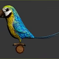 Yellow and Blue Parrot with White Face Standing on Wooden Log in Gray Background
