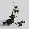 Minimalist Decorative Ornament Set With Green Plant Black Vase And Nut Bowl