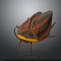 Red and Black Striped Insect With Yellow Head On Dark Surface 3d model