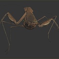 Modern mantis knife insect 3d model