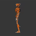 Orange Humanoid Robot With Mechanical Structure Standing On Dark Surface 3d model