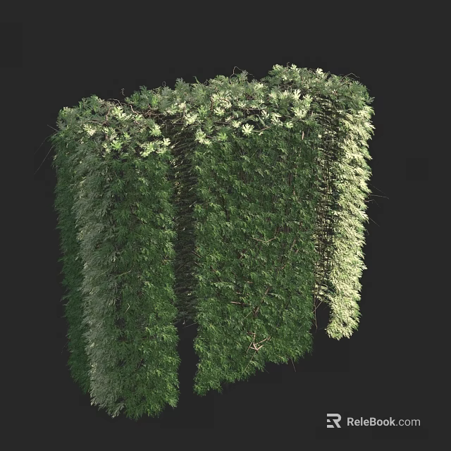 Lush Green Vertical Garden With Diverse Plant Species And Natural Foliage 3d model 