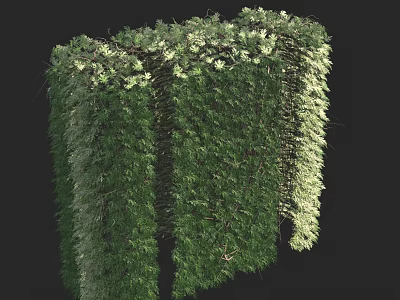 Lush Green Vertical Garden With Diverse Plant Species And Natural Foliage 3d model