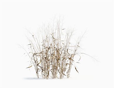 Modern hay 3d model