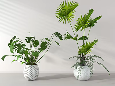 Potted Plants with Monstera and Palm Leaves in White Striped Pots for Minimalist Indoor Decor 3d model