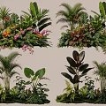 Tropical Plant Combinations With Diverse Foliage Colorful Flowers And Palm Leaves