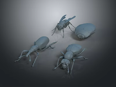 Grey Colored 3D Rendered Insect Models Of Different Species 3d model