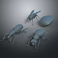 Grey Colored 3D Rendered Insect Models Of Different Species