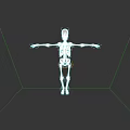 Human Skeletal System Anatomical Model White Skeleton Standing With Arms Outstretched On Black Background