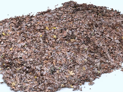 Natural Pile of Brown and Yellow Fallen Autumn Leaves with Various Shapes 3d model