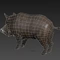 Realistic Standing Wild Boar With Gray Fur Sharp Tusks And Detailed Features