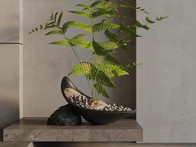 Bonsai Fern Plant in Black Pot with Small Stones on Stone Shelf by Gray Wall 3d model