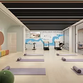 Spacious Fitness Studio With Yoga Mats Dance Sports Signs And Circular Decorations