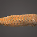 Detailed Pangolin With Brown Scales And Curled Body In 3D Render