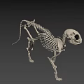 Cartoon Style 3D Skeleton Dog Game Movie Character With Black Eyes