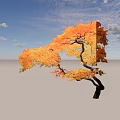 Vibrant Deciduous Tree With Orange Red Leaves And Curved Branches In Autumn