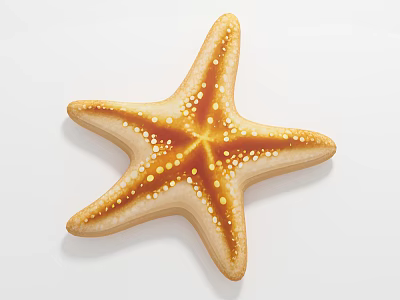 Golden Spotted Starfish An Aquatic Animal With Unique Shape And Texture 3d model