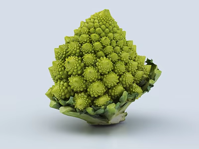 Fresh Green Romanesco Broccoli Vegetable With Unique Spiral Shape And Fresh Leaves 3d model