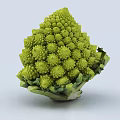 Fresh Green Romanesco Broccoli Vegetable With Unique Spiral Shape And Fresh Leaves