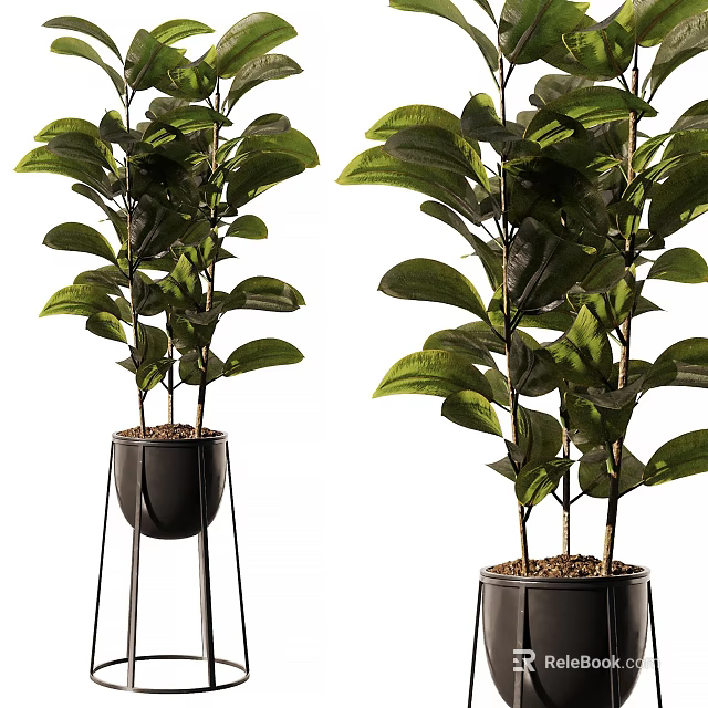 Green Bonsai Potted Plants In Black Planters With Metal Stand For Indoor Decor 3d model 