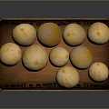 Fresh Ripe Cantaloupes Stored In Wooden Crate For Home Storage Use