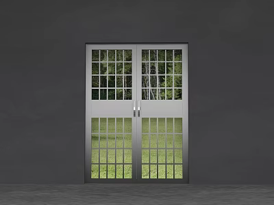 Double Panel Security Door With Glass Panes And Green Outdoor Grass View 3d model Double Panel Security Door With Glass Panes And Green Outdoor Grass View 3d model