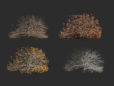Various Shrubs with Seasonal Foliage and Bare Branches in Different Hues 3d model
