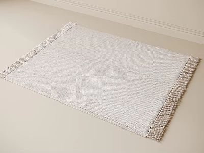 Light Gray Square Area Rug With Tassel Edges And Woven Texture 3d model