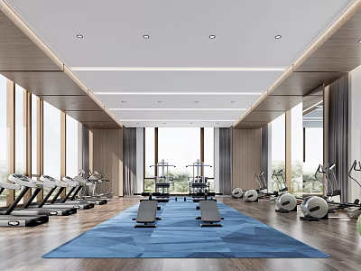 Spacious Modern Gym With Floor To Ceiling Windows Treadmills Exercise Balls And Yoga Mats 3d model