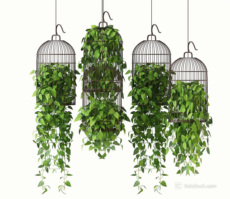 Beautiful Lush Green Hanging Plants in Black Birdcages with Cascading Foliage 3d model 