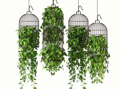 Beautiful Lush Green Hanging Plants in Black Birdcages with Cascading Foliage 3d model