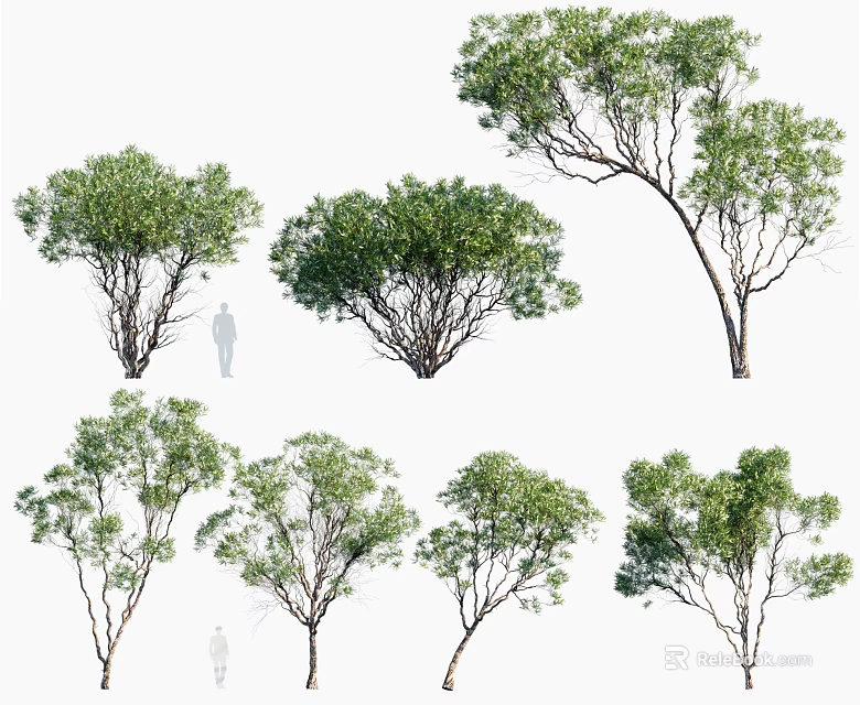 Various Arbor Trees in Different Forms with Human Figure for Size Reference 3d model 