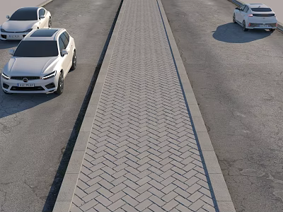 Road Facilities With Herringbone Pattern Paved Surface And Vehicles Parked On Both Sides 3d model
