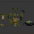 Indoor Potted Plants Collection With Monstera Succulents Hanging Flowers And Wooden Stand