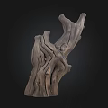 Decorative Dry Tree Trunk With Natural Rough Texture On Dark Background 3d model